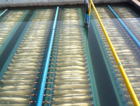 點擊查看詳細信息<br>標題：MBR膜生物反應器 閱讀次數：2583