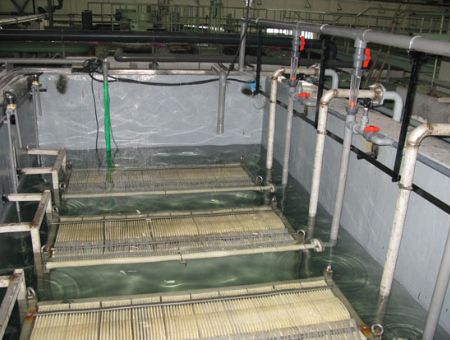 點(diǎn)擊查看詳細(xì)信息<br>標(biāo)題：MBR膜反應(yīng)池 閱讀次數(shù)：2644